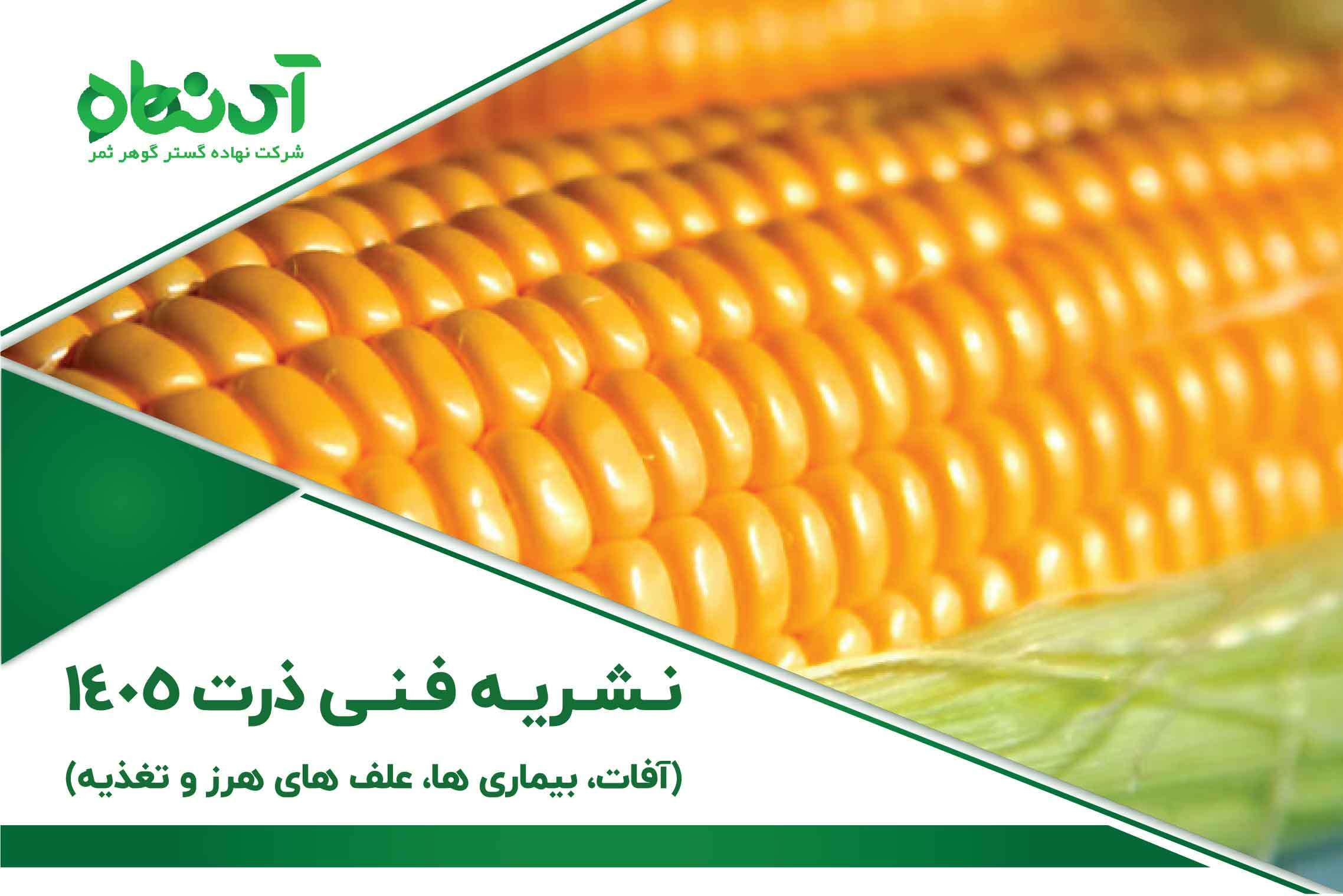خلاصه نشریه فنی ذرت 1405